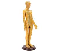 Fockety Modelo de Acupuntura, 20.5 in de Cuerpo Completo Posicionamiento Preciso del Punto de Acupuntura Grabado de Alta Definición Maniquí de Punto de, Modelo de Gráfico de Meridianos con Base y