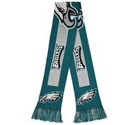 FOCO Bufanda con logotipo grande de la NFL, Unisex, SVNF16BLGPE, verde, Talla única