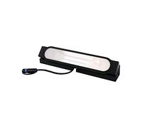 Foco de pared LED «Plug & Shine» Ito de Paulmann, 6,1 W, 3000 K, antracita | Orientable, IP67, luz blanca cálida, estaca para suelos blandos, ideal para exteriores