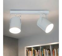 Foco de techo blanco 2 luces, spot orientable, acero, E27, largo 38 cm | largo 38 x an. 10,5 x al. 20 cm, pantalla Ø 10,5 cm, 2x E27 máx. 60 W, acero lacado, 1,5 kg, IP20, sin bombillas