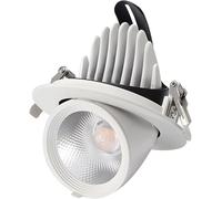 Foco Empotrable COB, Apertura, Luz De Trompa De Elefante De Ángulo Ajustable De Alta Transparencia For Paredes Exteriores De Tiendas, Ventanas De Tiendas De Ropa/vestidos(White,30W(AC111-240V))