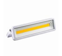 Foco Empotrable De Suelo Ronda - Foco De Jardín Empotrable Estanco IP65, Focos LED Impermeables Para Exteriores, Focos Publicitarios Para Escaparates, Luz de pared impermeable IP65(White,50W-AC220V)