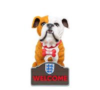 Foco Gnomo Bulldog de Inglaterra con Licencia Oficial