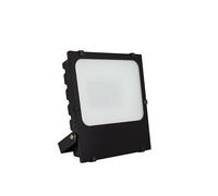 Foco Proyector LED 50W 145 lm/W IP65 HE Frost PRO Regulable