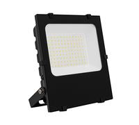 Foco Proyector LED 50W 145 lm/W IP65 HE PRO Regulable