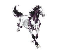 FOCUS: Clear The Noise