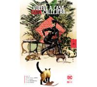 Focus - Fernando Blanco: Vuelve A Casa Gata Callejera