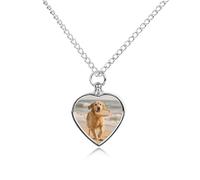 FodPand Collar de urna de perro Golden Retriever personalizado para cenizas, collar conmemorativo para mascotas con kit de relleno, cadena ajustable de 27.6 pulgadas, joyería funeraria de cremación