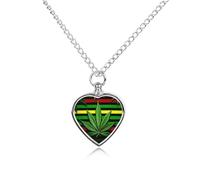 FodPand Collar personalizado de urna para mascotas para cenizas, acero de titanio, joyería de cremación a rayas con kit de embudo, collar conmemorativo, regalo de recuerdo, colgante de foto