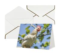 FodPand Tarjetas de felicitación con sobres, tarjetas de cumpleaños de 11,4 x 15,2 cm, tarjeta de aliento a mitad plegable, divertidas postales de pollo en una rama, tarjeta de invitación en blanco