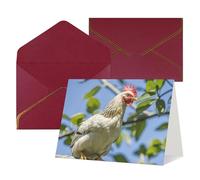 FodPand Tarjetas de felicitación con sobres, tarjetas de cumpleaños de 11,4 x 15,2 cm, tarjeta de aliento a mitad plegable, divertidas postales de pollo en una rama, tarjeta de invitación en blanco