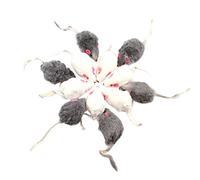 Foemey 12 Piezas Falso Juguetes para Mascotas los Ratones de Cola de Pelo del Suenan Ruidosamente Suave Piel de Conejo Real Suena un Juguete de Chirriante