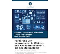 Förderung von Innovationen in Kleinst- und Kleinunternehmen - die Realität in Bahia: Ein Blick auf die Ausschreibungen für Wirtschaftszuschüsse in ... Auswirkungen auf Innovationen in Unternehmen