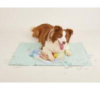 FOFOS Manta Fria para Perros Verano Cama refrescante Gatos Manta refrescante Perro Alfombrilla refrigerante Alfombra colchoneta Ideal para Mascotas Grande 90 x 50 cm