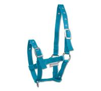 Fohlenhalfter Triple, azurblau