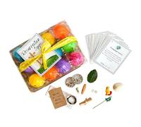 Fokayo Juego de Huevos de resurrección con Tarjetas de Historia, Historia de la Semana de Pascua, 12 Huevos de Pascua Coloridos con símbolos bíblicos y Tarjetas de Las Escrituras, Accesorios (1Pcs)