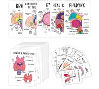 Fokayo Tarjetas de Anatomía Humana - Guía de Estudio Visual para Enfermería y Preparación de Exámenes. Tarjetas de Anatomía de los Sistemas del Cuerpo Humano con Diagramas Etiquetados (30Pcs)