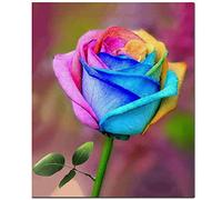 Fokenzary DIY Malen nach Zahlen Ölgemälde Leinwand für Kinder oder Erwachsene Anfänger mit Pinsel und Acrylfarben (40x50cm Rose)