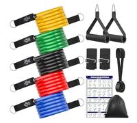 Fokky Gomas Elasticas Musculacion, 5 Diferentes Niveles de Bandas Elasticas Musculación con Anclaje para Puerta, Asas, Correa para Tobillo, Ideal para Pilates, Yoga, Desarrollo Muscular