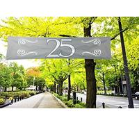 Folat - Pancarta decorativa para las bodas de plata con el número 25, color plateado y blanco, 180 x 40 cm