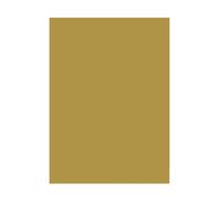 Folia 6365 Coloured Paper Matt Gold DIN A3 130 g/m² 50 Sheets for Crafts and Cre