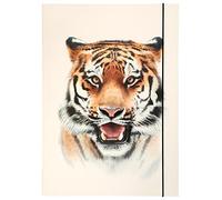 folia 69004 - Carpeta A3 Basic Roaring Tiger, de cartón Resistente con Banda elástica