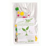 folia-Bolsas de celofán con Primavera, Aprox. 11,5 x 19 cm, 8 Unidades, 5 x 19 (271/8)