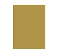 Folia Bringmann - Papel de Colores (130 g/m², DIN A3, 50 Hojas), Color 65 Dorado Mate