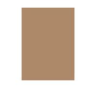 Folia Bringmann - Papel de Colores (130 g/m², DIN A3, 50 Hojas), Color 75 marrón corzo