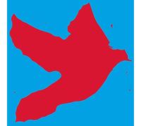 Folie Douce [Vinilo]