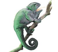 Folkmanis 2215 - Marioneta camaleón