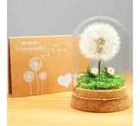 Folleto de deseos de diente de león en cristal, idea de regalo especial, regalo de cumpleaños para mujeres, amuleto de la suerte y pequeñas cosas para novia, regalos decorativos en cristal, regalo de