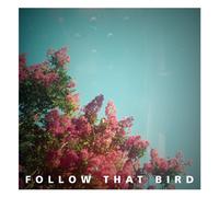 Follow That Bird - Wooden Bones [Vinilo]