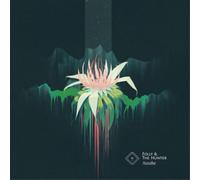 Folly & the Hunter Awake (Vinyl) 12" Album (Importación USA)