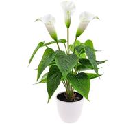 Folmywy Flores artificiales de lirio de cala de 16 pulgadas, lirio de la paz falsas en maceta, plantas de seda blanca, bonsái sintético, vegetación realista, centros de mesa, oficina, interior y