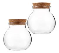 FOMIYES Botella de Vidrio Ecológica Esférica 2 Piezas Tapón de Corcho para Contenedor de Paisaje de Musgo y Terrario de Plantas Miniatura 10X11 CM
