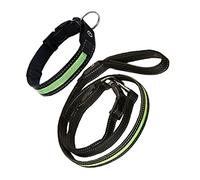 FOMIYES Correa Luminosa para Perros con Led Diseño Elegante Segura Y Suave para Las Mascotas