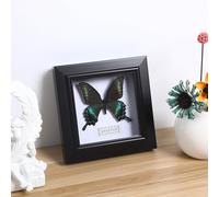 FOMIYES Ejemplar de Lepidóptero Simulado Hecho a Mano Marco Decorativo DIY Tamaño Mediano Color Verde Tonos Turquesa Decoración Colgante para Pared Arte para Hogar y Obsequio Especial