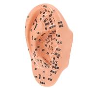 FOMIYES Modelo De Masaje De Oído Modelo Práctico De Acupuntura De Oído Humano Para Terapia De Masaje Para Estudios y Prácticas De Salud