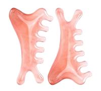 FOMIYES Peine Masajeador de Cuero Cabelludo 2 Piezas Rosa Diseño Delfín Herramienta Gua Sha de Resina para Masaje Facial y Capilar Portátil para Spa y Relajación en Viajes