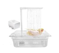 Fonda Back Bay - Ducha automática ajustable para loros y periquitos | Bomba de agua de recirculación para grises africanos, cockatiels | Spa Aviar Indoor con flujo de agua suave