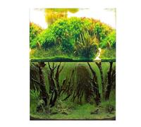 Fondo Acuario Pegatina decorativa de fondo for acuario, pegatina de paisaje for pecera, póster de fondo for acuario, planta oceánica, pintura de paisaje acuático para decoración(Background E,30x50cm)