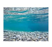 Fondo autoadhesivo para decoración de acuario subacuático, paisaje natural, fondo de pecera, fondo de acuario (60 x 120 cm, piedras de fondo marino)