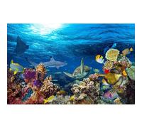Fondo de acuario bajo el mar, peces tropicales, colorido arrecife de coral, panorama, terrario, tortuga, tiburón, fondo de mar azul, vida subacuática, paisaje marino, pecera, telón de fondo, póster de