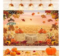 Fondo de calabaza de otoño, cosecha de otoño, heno, fotografía, fondo, girasoles de arce recién nacido, baby shower, pancarta de decoración de fiesta, accesorios de cabina de fotos