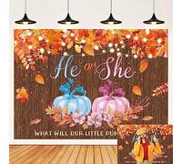Fondo de calabaza para revelación de género, otoño, madera, él o ella, baby shower, fiesta, fotografía, fondo de otoño, Acción de Gracias, hojas de arce, niño o niña, suministros de decoración de cabina de fotos, 7 x 5 pies