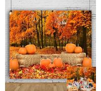 Fondo de fotografía de paisaje de bosque otoñal, fondo de fotos de paisaje natural, fondo de fotos de bosque de arce, fondo de calabaza, tema de otoño, decoración de fiesta de Acción de Gracias,