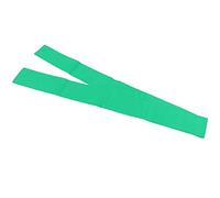 Fondo de Fotografía de Tela No Tejida para Estudio, 1,6 X, Doble Cara, Tamaño Grande para Fotografía Profesional (Green)