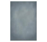 Fondo de Retrato Textura degradada Abstracta fotografía Vintage Retro Color sólido Fondo fotozona Profesional(Color06,Vinyl 250x300cm)