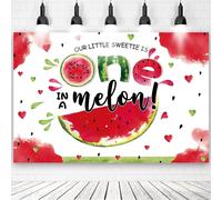 Fondo de sandía para niños, fiesta de primer cumpleaños de niña, baby shower, compatible con la temática "One in a Melon", fotomatón y